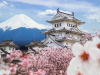 Du lịch Nhật Bản mùa Hoa Anh Đào - Tokyo - Hakone - Núi Phú Sĩ