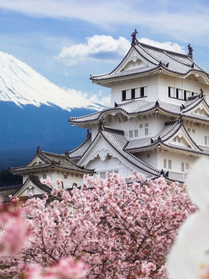 Du lịch Nhật Bản mùa Hoa Anh Đào - Tokyo - Hakone - Núi Phú Sĩ